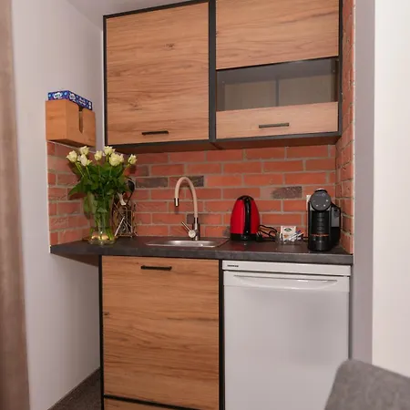 Apartment Rezydencja Zator