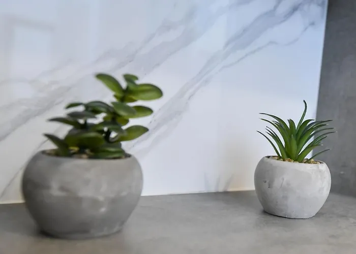 דירה Rezydencja Zator *